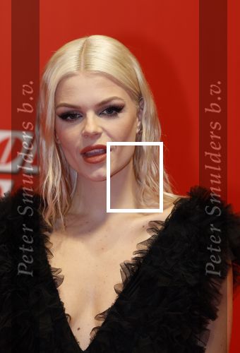 Rotterdam 3 februari 2023
Qmusic awards in AHOY. Davina Michelle