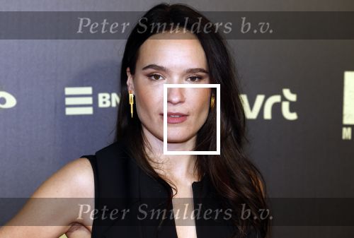 Amsterdam 30 januari 2023
Premiere Klem in Tuschinski met in de hoofdrollen Georgina Verbaan Barry Atsma Jacob Derwig Claudia Vismara Antonio Rampino Zoe Cusell Yenthe Bos en Marie  Mae v Zuilen.