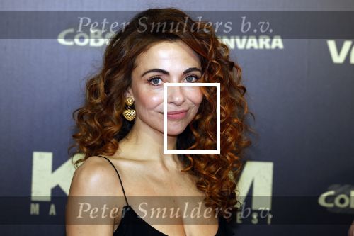 Amsterdam 30 januari 2023
Premiere Klem in Tuschinski met in de hoofdrollen Georgina Verbaan Barry Atsma Jacob Derwig Claudia Vismara Antonio Rampino Zoe Cusell Yenthe Bos en Marie  Mae v Zuilen.