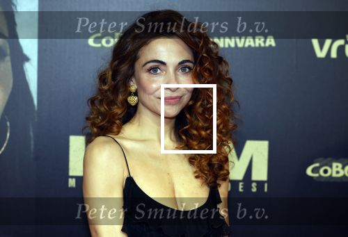 Amsterdam 30 januari 2023
Premiere Klem in Tuschinski met in de hoofdrollen Georgina Verbaan Barry Atsma Jacob Derwig Claudia Vismara Antonio Rampino Zoe Cusell Yenthe Bos en Marie  Mae v Zuilen.