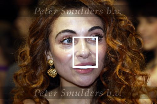 Amsterdam 30 januari 2023
Premiere Klem in Tuschinski met in de hoofdrollen Georgina Verbaan Barry Atsma Jacob Derwig Claudia Vismara Antonio Rampino Zoe Cusell Yenthe Bos en Marie  Mae v Zuilen.