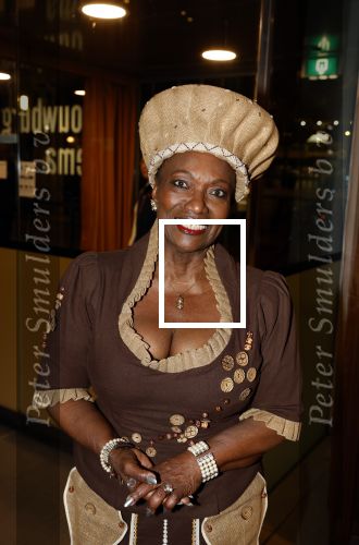 Amstelveen 6 februari 2023
Premiere African mama\'s in schouwburg Amstelveen.
Gerda havertong