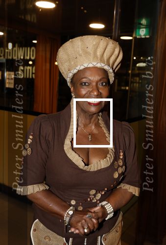 Amstelveen 6 februari 2023
Premiere African mama\'s in schouwburg Amstelveen.
Gerda havertong
