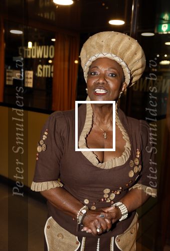 Amstelveen 6 februari 2023
Premiere African mama\'s in schouwburg Amstelveen.
Gerda havertong