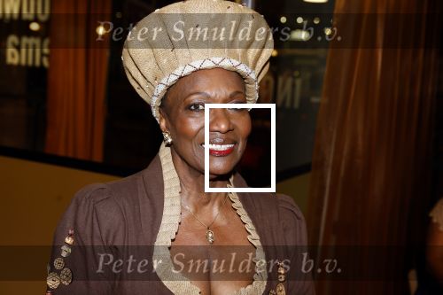 Amstelveen 6 februari 2023
Premiere African mama\'s in schouwburg Amstelveen.
Gerda havertong
