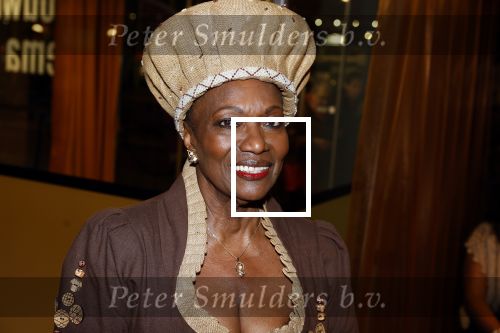 Amstelveen 6 februari 2023
Premiere African mama\'s in schouwburg Amstelveen.
Gerda havertong