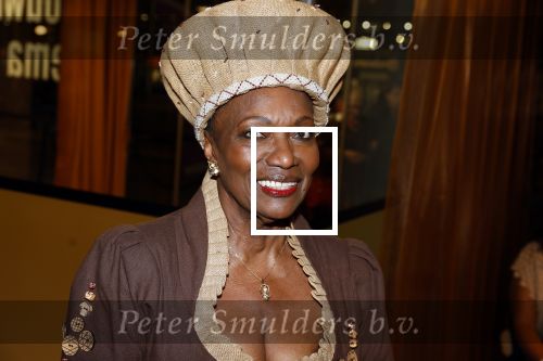 Amstelveen 6 februari 2023
Premiere African mama\'s in schouwburg Amstelveen.
Gerda havertong