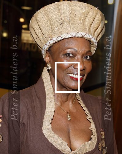 Amstelveen 6 februari 2023
Premiere African mama\'s in schouwburg Amstelveen.
Gerda havertong
