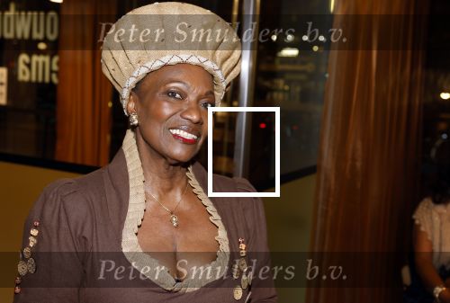 Amstelveen 6 februari 2023
Premiere African mama\'s in schouwburg Amstelveen.
Gerda havertong