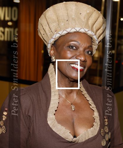 Amstelveen 6 februari 2023
Premiere African mama\'s in schouwburg Amstelveen.
Gerda havertong