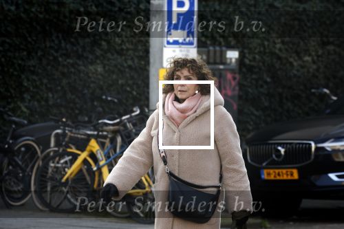 Amsterdam 10 februari 2023
Henriette Tol in Amsterdam zuid.