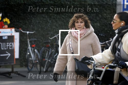 Amsterdam 10 februari 2023
Henriette Tol in Amsterdam zuid.