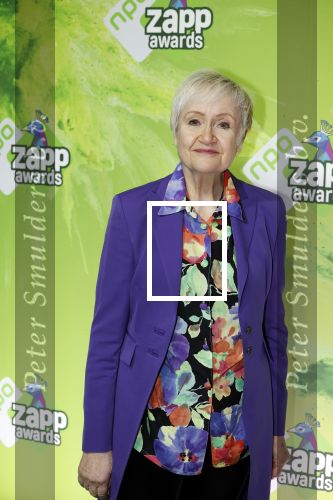 Hilversum 28 januari 2023
Zapp awards in studio 21 . Hetty Heyting