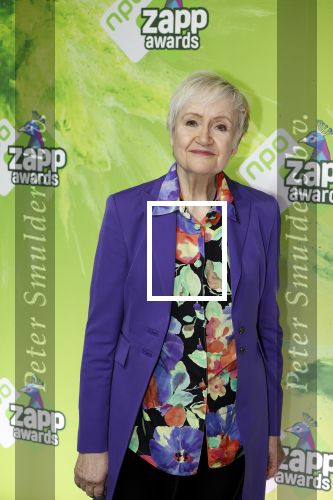 Hilversum 28 januari 2023
Zapp awards in studio 21 . Hetty Heyting