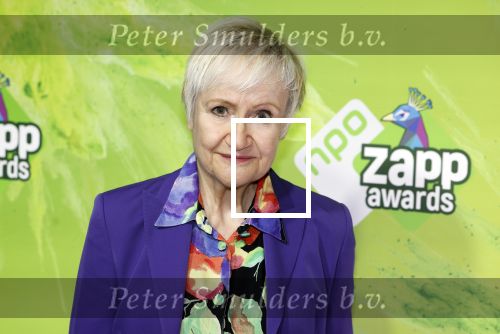 Hilversum 28 januari 2023
Zapp awards in studio 21 . Hetty Heyting