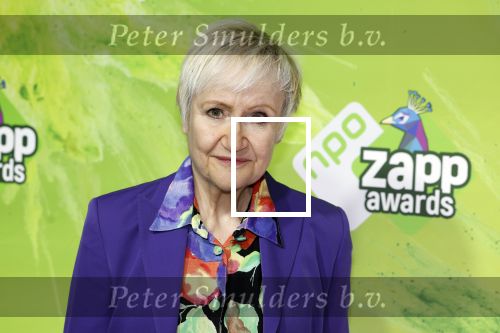 Hilversum 28 januari 2023
Zapp awards in studio 21 . Hetty Heyting