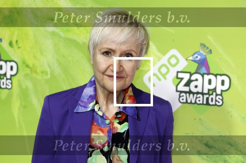 Hilversum 28 januari 2023
Zapp awards in studio 21 . Hetty Heyting