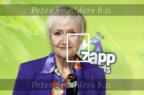 Hilversum 28 januari 2023
Zapp awards in studio 21 . Hetty Heyting