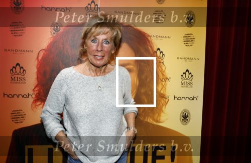 Baarn 28 januari 2023
Premiere liedjes Robert Long in de speeldoos in Baarn.
Joke Bruijs