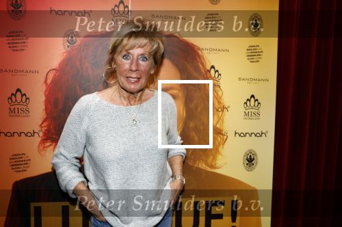 Baarn 28 januari 2023
Premiere liedjes Robert Long in de speeldoos in Baarn.
Joke Bruijs