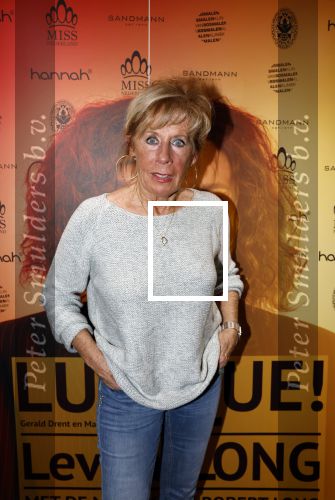 Baarn 28 januari 2023
Premiere liedjes Robert Long in de speeldoos in Baarn.
Joke Bruijs