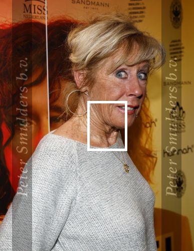 Baarn 28 januari 2023
Premiere liedjes Robert Long in de speeldoos in Baarn.
Joke Bruijs