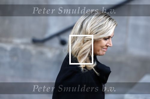 Amsterdam 18 januari 2023
De tweede dag van de nieuwjaarsreceptie van Koning Willem Alexander en koningin Maxima op het paleis op de Dam. Ook prinses Beatrix was weer aanwezig.