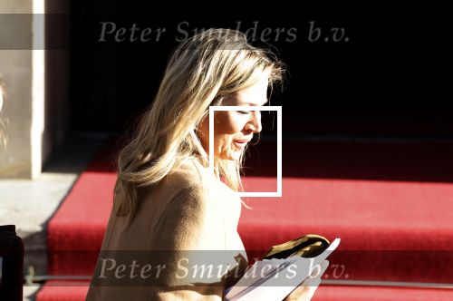 Amsterdam 17 januari 2023
Nieuwjaarsreceptie van Koning Willem Alexander en Koningin Maxima op paleis op de dam.