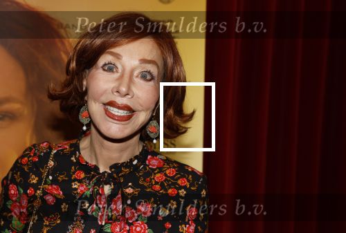Baarn 28 januari 2023
Premiere liedjes Robert Long in de speeldoos in Baarn.
Marijke Helwegen kwam met haar man harrie