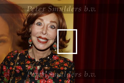 Baarn 28 januari 2023
Premiere liedjes Robert Long in de speeldoos in Baarn.
Marijke Helwegen kwam met haar man harrie