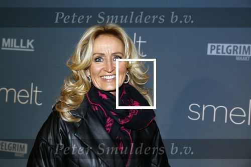 Amsterdam 23 januari 2023
Premiere Smelt met in de hoofdrol Ernst Daniel Smid.
De feestelijke premiere vond plaats in Tuschinski. Natasja Froger