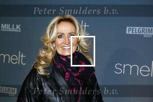 Amsterdam 23 januari 2023
Premiere Smelt met in de hoofdrol Ernst Daniel Smid.
De feestelijke premiere vond plaats in Tuschinski. Natasja Froger