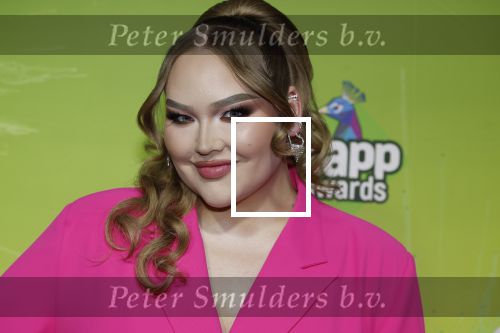 Hilversum 28 januari 2023
Zapp awards in studio 21 . Nikkie de Jager