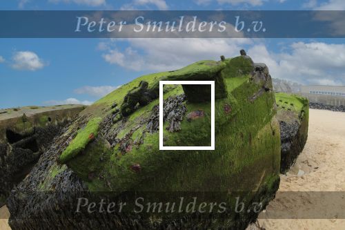 Normandie Frankrijk 25 Maart 2018
Fotopersbureau Peter Smulders BV