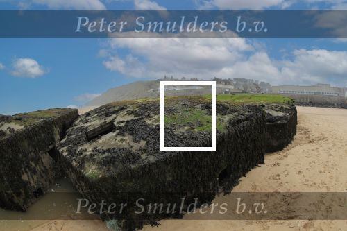 Normandie Frankrijk 25 Maart 2018
Fotopersbureau Peter Smulders BV