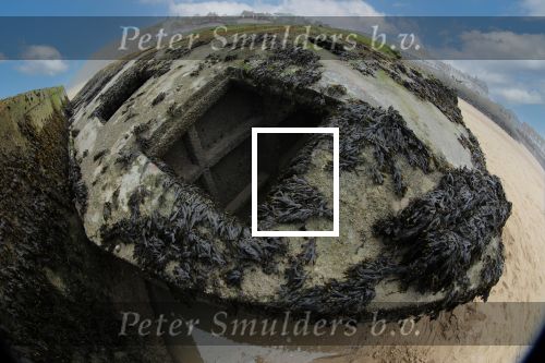 Normandie Frankrijk 25 Maart 2018
Fotopersbureau Peter Smulders BV