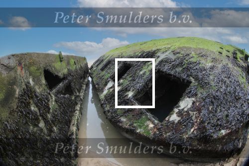 Normandie Frankrijk 25 Maart 2018
Fotopersbureau Peter Smulders BV