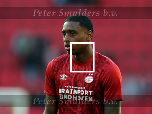 Eindhoven, 19 September 2019
PSV-Sporting CP, eindstand 3-2
Europa League Groepsfase D
Pablo Rosario
Fotopersbureau Peter Smulders BV