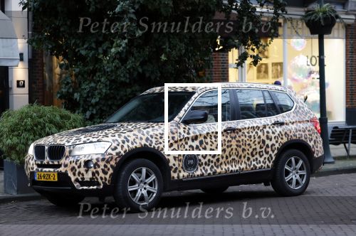 Amsterdam 24 januari 2023
Patty Brard met haar panter BMW in Amsterdam zuid