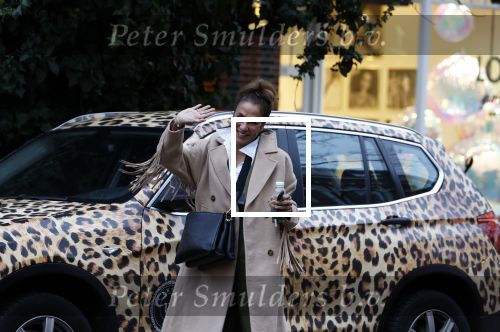 Amsterdam 24 januari 2023
Patty Brard met haar panter BMW in Amsterdam zuid
