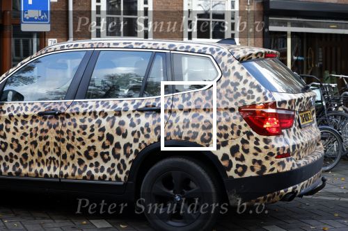 Amsterdam  25 november 2022
Patty Brard in haar BMW