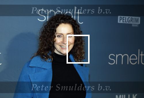 Amsterdam 23 januari 2023
Premiere Smelt met in de hoofdrol Ernst Daniel Smid.
De feestelijke premiere vond plaats in Tuschinski. Pia Douwes