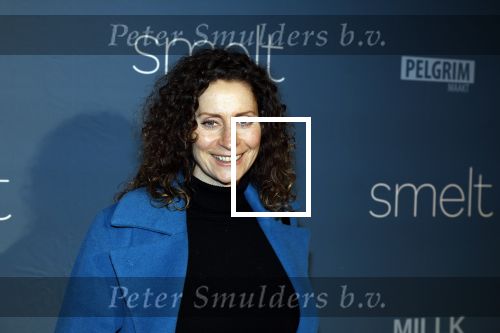 Amsterdam 23 januari 2023
Premiere Smelt met in de hoofdrol Ernst Daniel Smid.
De feestelijke premiere vond plaats in Tuschinski. Pia Douwes
