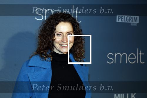 Amsterdam 23 januari 2023
Premiere Smelt met in de hoofdrol Ernst Daniel Smid.
De feestelijke premiere vond plaats in Tuschinski. Pia Douwes