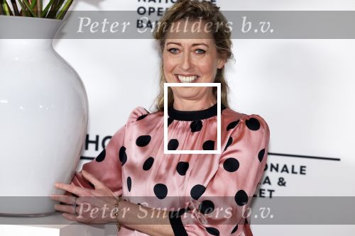 Amsterdam 9 februari 2023
Premiere Messa da Requiem van het Nationaal ballet in de Stopera. Plien v Bennekom met man