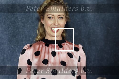 Amsterdam 9 februari 2023
Premiere Messa da Requiem van het Nationaal ballet in de Stopera. Plien v Bennekom met man