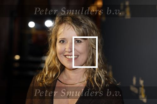 Amsterdam 2 februari 2023
Premiere de Magie van Valentijn in Tuschinski met in de hoofdrol Birgit Schuurman . Iris Hond en Lakshmi speelden de titelsong. Ricky Koole en leo Blokhuis
