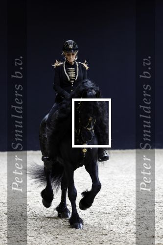 Amsterdam 28 januari 2023
Samantha Steenwijk rijdt op haar paard een kuhr terwijl ze zingt tijdens Jumping Amsterdam in de RAI.