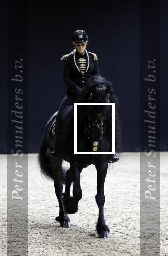 Amsterdam 28 januari 2023
Samantha Steenwijk rijdt op haar paard een kuhr terwijl ze zingt tijdens Jumping Amsterdam in de RAI.