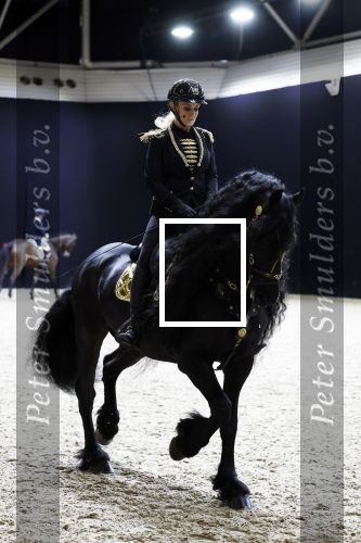 Amsterdam 28 januari 2023
Samantha Steenwijk rijdt op haar paard een kuhr terwijl ze zingt tijdens Jumping Amsterdam in de RAI.